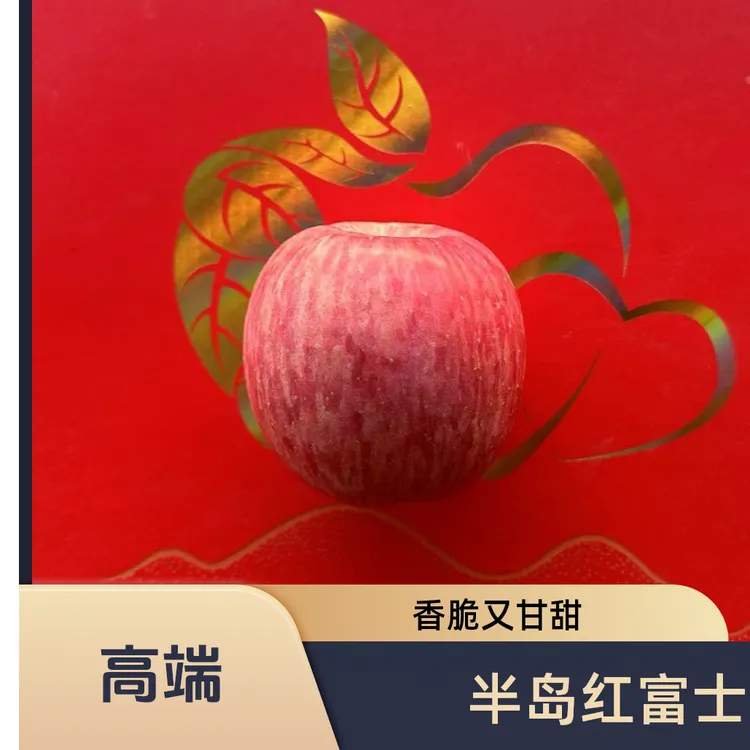 山东半岛烟台栖霞市山地条纹红富士香脆甘甜品质果