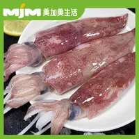 【500g/份】野生尖鱿鱼