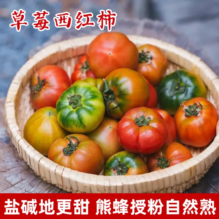 寿光新鲜草莓西红柿酸甜番茄3斤/4.5斤沙瓤自然熟坏果包赔