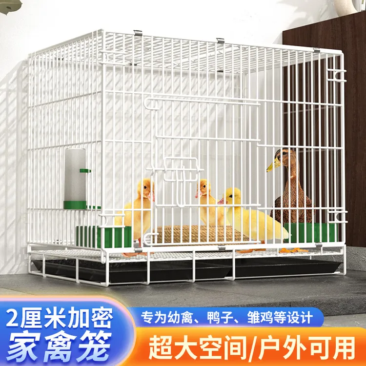 鸭笼家用柯尔鸭笼芦丁鸡宠物鸭子专用饲养箱室内外用大号养殖笼子