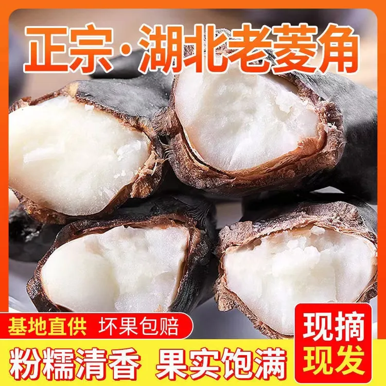 【青耘中国】2025老菱角湖北特产新鲜现采老菱角1/3/5斤装基地