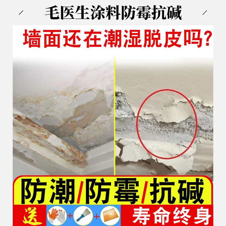 毛医生内墙漏水起碱返碱防霉抗碱克星抗渗背面修补产品防水涂料