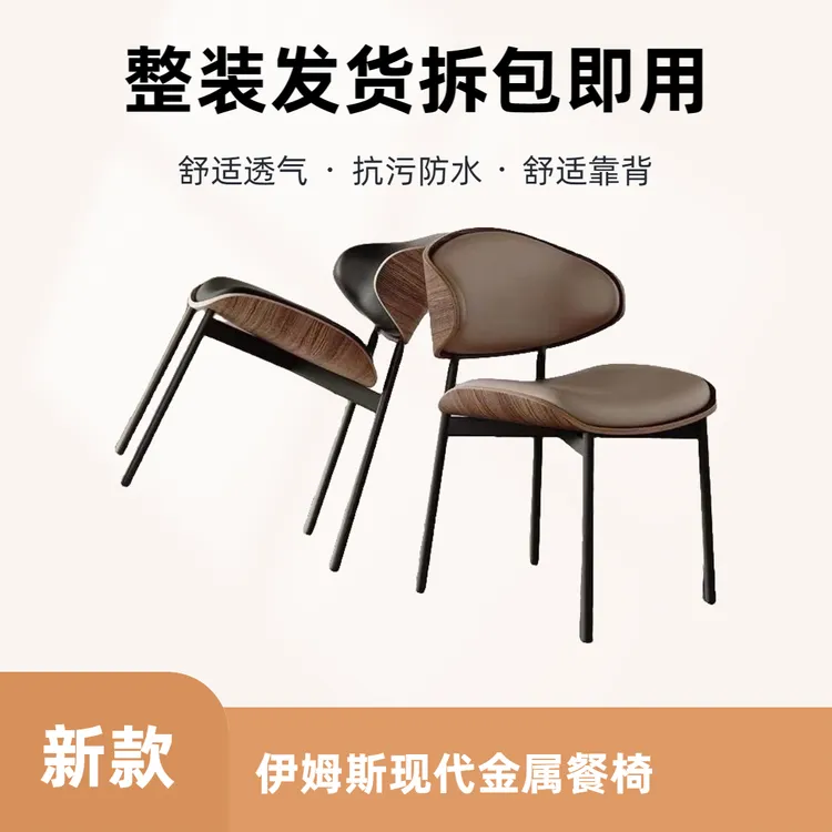 2025新款高档轻奢餐椅现代简约休闲椅餐桌椅家用椅子酒店靠背客厅
