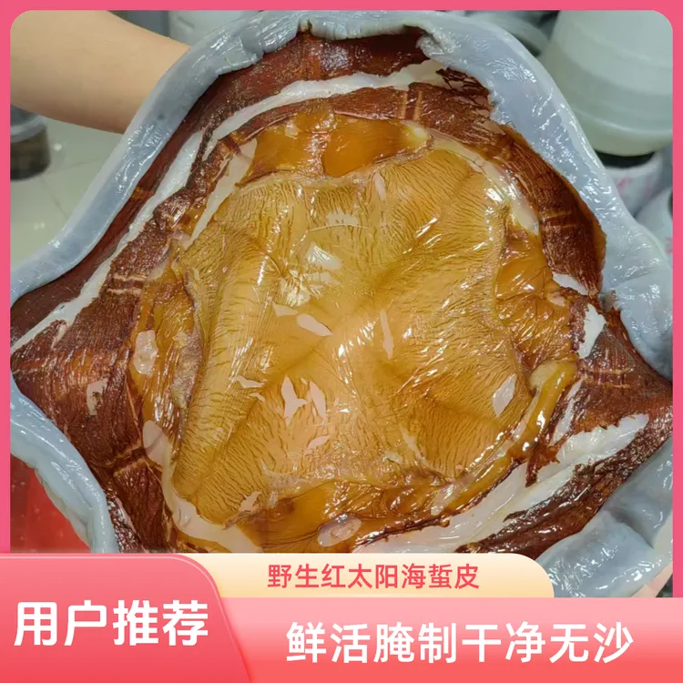野生红太阳海蜇皮【水皮】舟山海鲜海蜇桶装非即食 5斤桶装