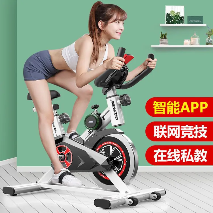 动感单车骑车小型室内自行车静音运动减肥健身器材燃脂单车健身器