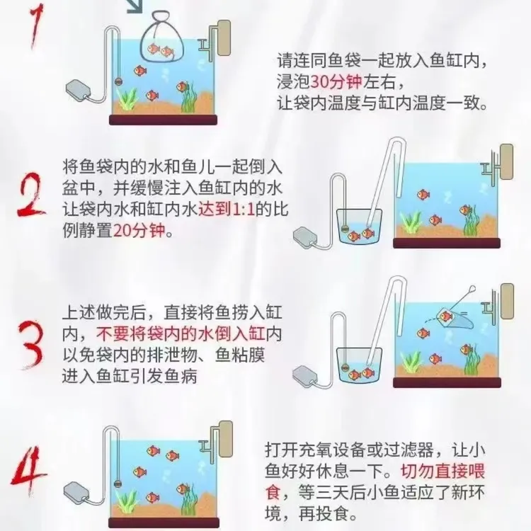 锦鲤草金混装
