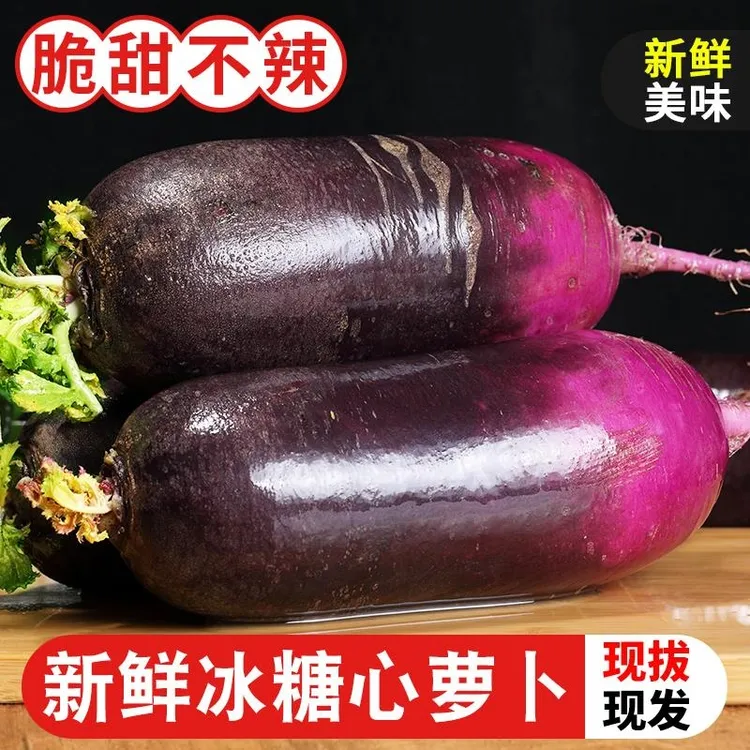 【坏果包赔】山东冰淇淋水果萝卜当季红冰糖心甜脆生吃非凤梨潍坊