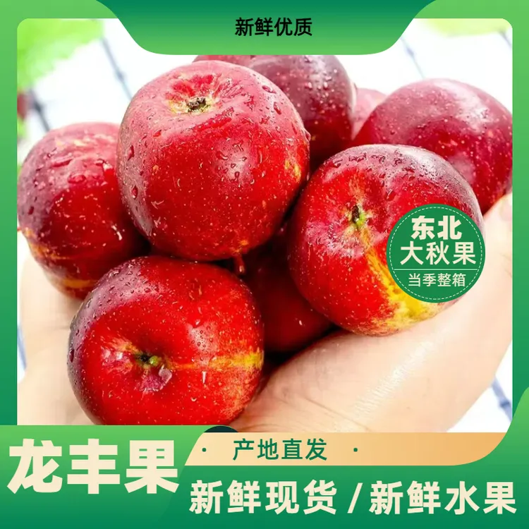 【儿时的味道】东北龙丰果酸甜脆爽东北直发当季新鲜沙果非海棠果