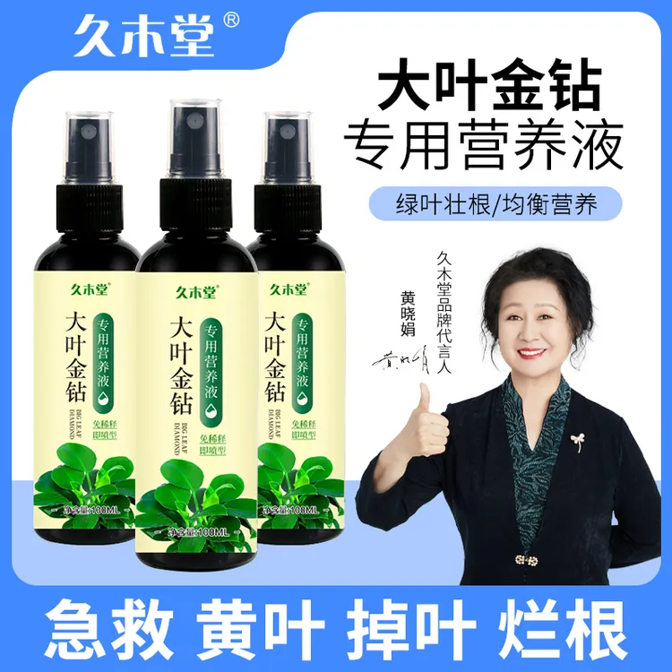 大叶金钻绿营养液补营养促生长防叶发黄过早衰老生根壮苗促叶生长