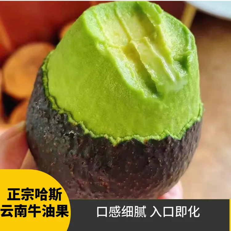 正宗云南孟连哈斯牛油果拍冰淇淋口感健身新鲜水果辅食