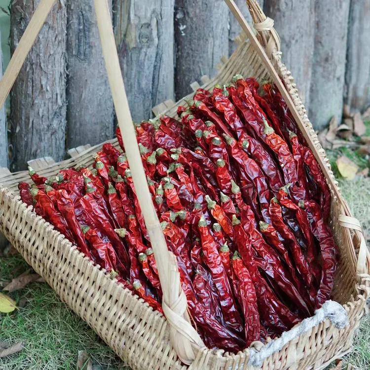 微辣超香二荆条 炒菜呛锅农家晒辣椒干红海椒红油辣子250g/500g