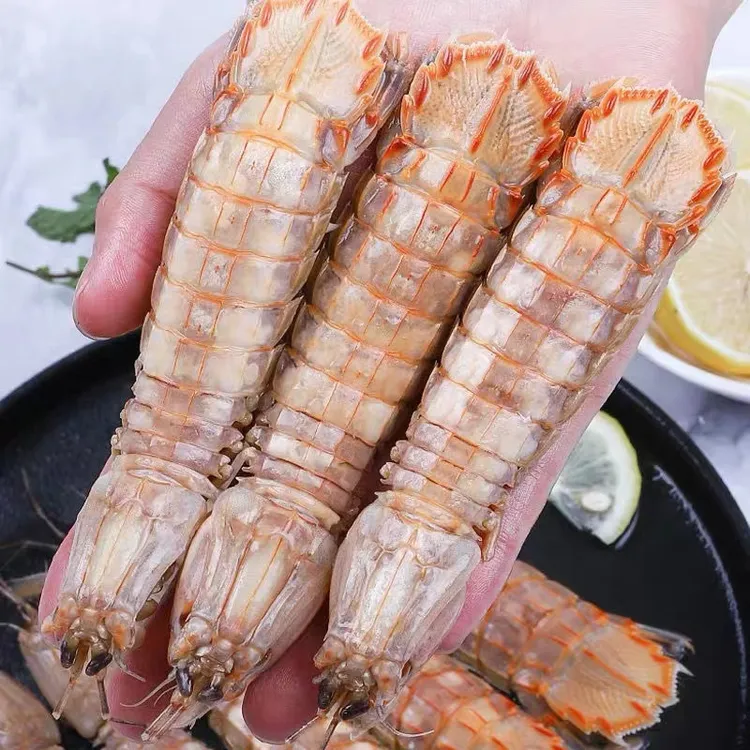 皮皮虾包肥超大特大虾婆虾蛄冷冻濑尿虾富贵虾非即食海鲜水产大虾