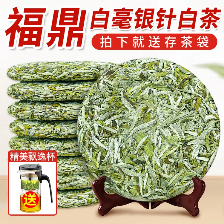 2025年福鼎正宗白茶白毫银针新茶头采高山春茶叶单芽嫩芽银针饼