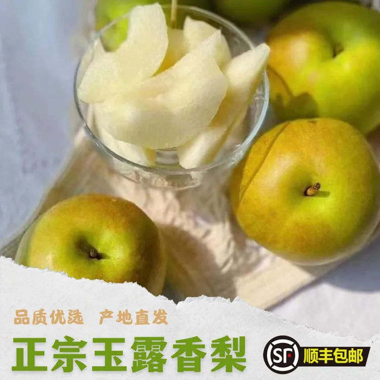 山西玉露香梨严选新鲜香酥脆大果多汁皮薄无渣产地发货包邮