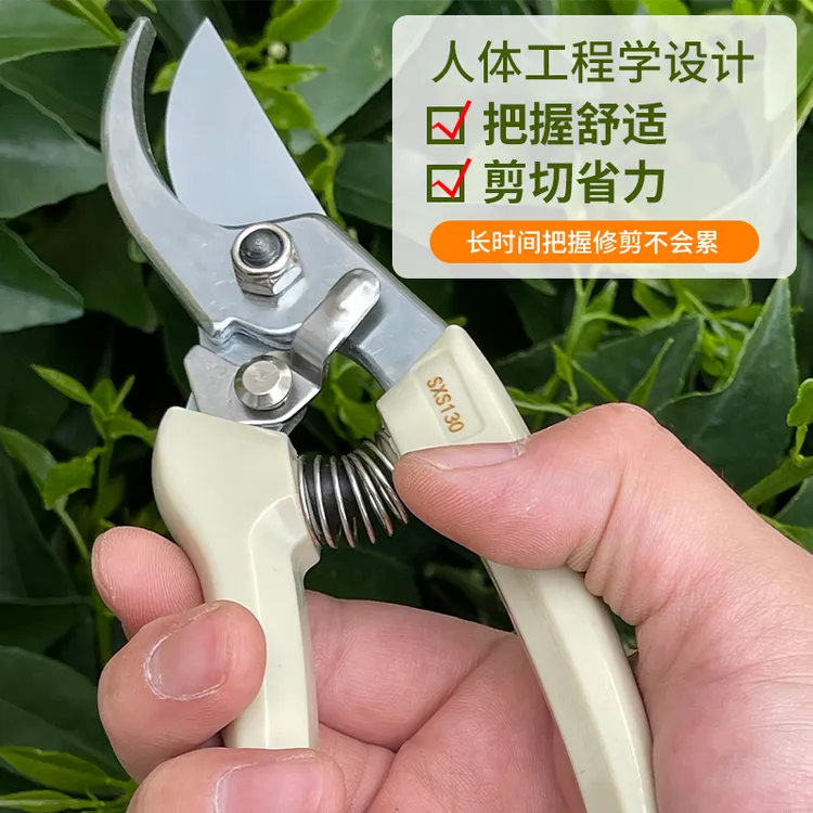 园艺修枝剪果树修剪园林修花剪刀家用三喜树130枝剪嫁接人体花艺