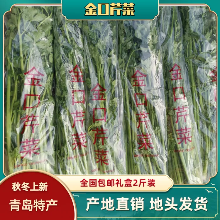 山东青岛特产正宗金口芹菜礼盒装秋冬新鲜蔬菜精品嫩芯2斤包邮