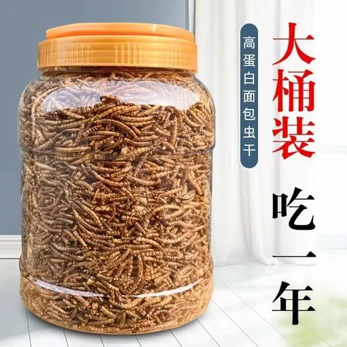 面包虫干黄粉虫仓鼠芦苇鸡丁密袋鼬粮食饲料刺猬龟粮健康仓鼠营养
