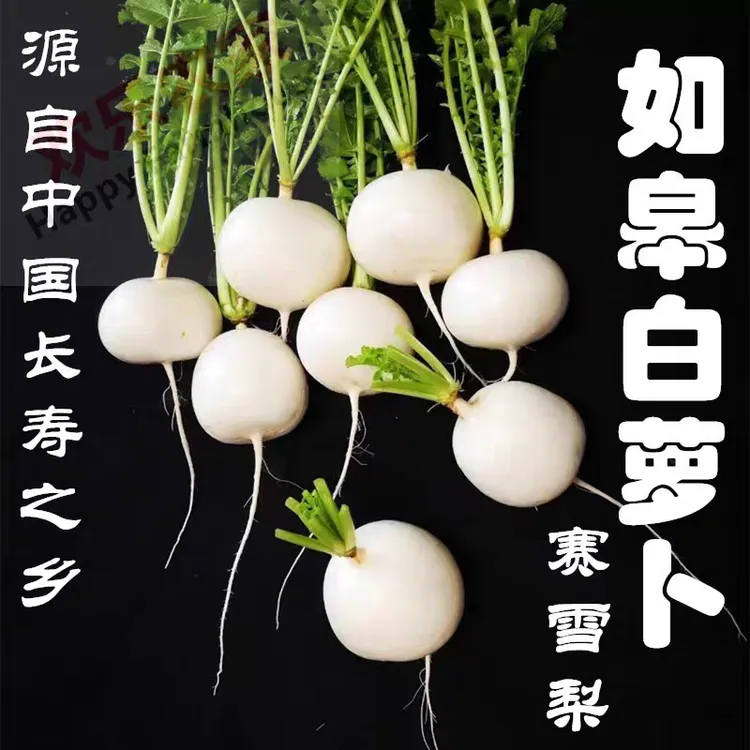 如皋特产白萝卜新鲜水果爽脆多汁推荐煲汤冬天新鲜农家露天白萝卜
