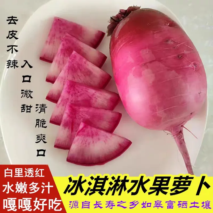 长寿乡如皋冰淇淋水果萝卜 现采现发 生吃清甜农家露天大萝卜