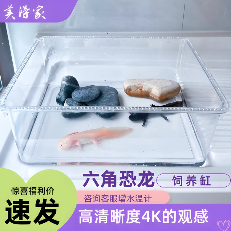 六角恐龙专用客厅饲养水族箱桌面鱼缸家用小型透明乌龟斗鱼造景缸