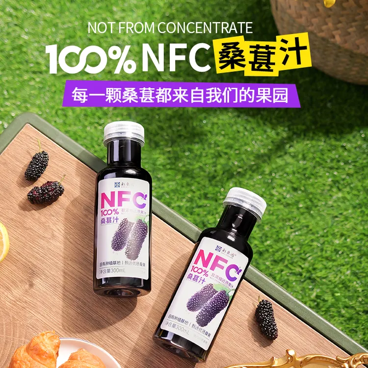 【 NFC100%桑葚汁】黑桑葚原汁鲜榨果汁不添加水糖天然营养H