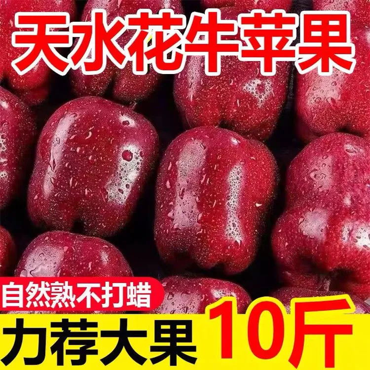 甘肃天水头茬花牛苹果香甜细腻