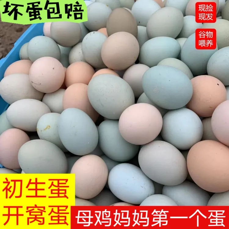 农家放养土鸡蛋初生蛋宝宝聪明蛋土开窝蛋不含激素不打抗生素