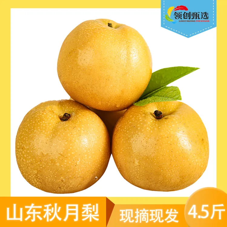 领创甄选正宗山东秋月梨当季新鲜现摘现发4.5斤装汁水脆甜多汁sss