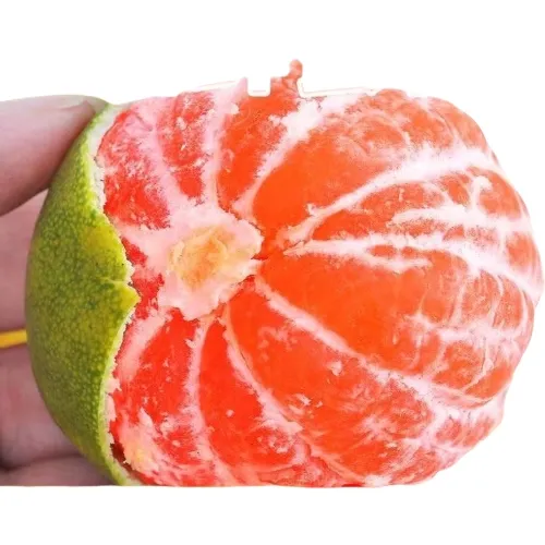 无品牌新鲜宜昌三峡小蜜橘皮薄汁多酸甜可口水果