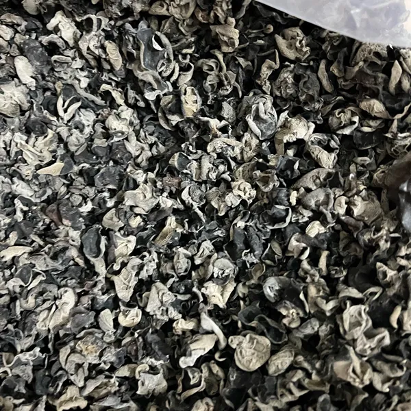 福建特产山珍美味黑木耳500g/袋原生态鲜嫩肉厚精选