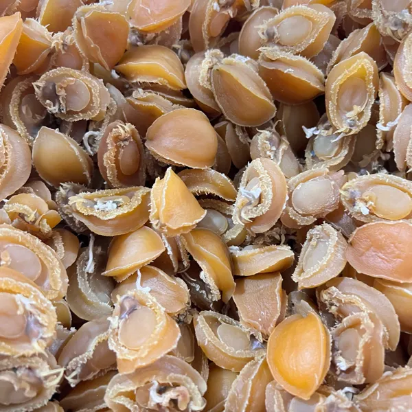 福建特产百粒/斤产品鲍鱼干净含量500g/袋