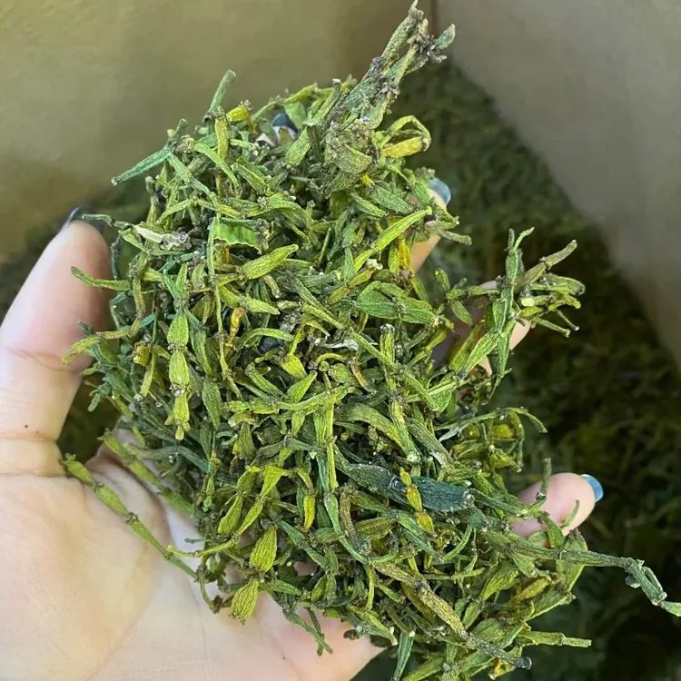 【山货】螃蟹脚茶泡茶100克250g/500g甘甜回甘深山螃蟹脚