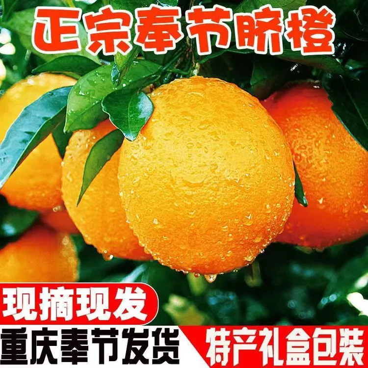 【中通包邮】奉节脐橙新鲜甜橙当季整箱水果现摘现发细腻无核皮薄