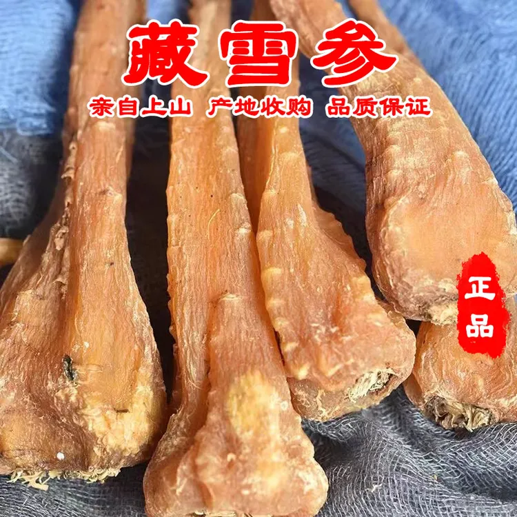 藏雪参大号 玉人参  滇藏高原山货