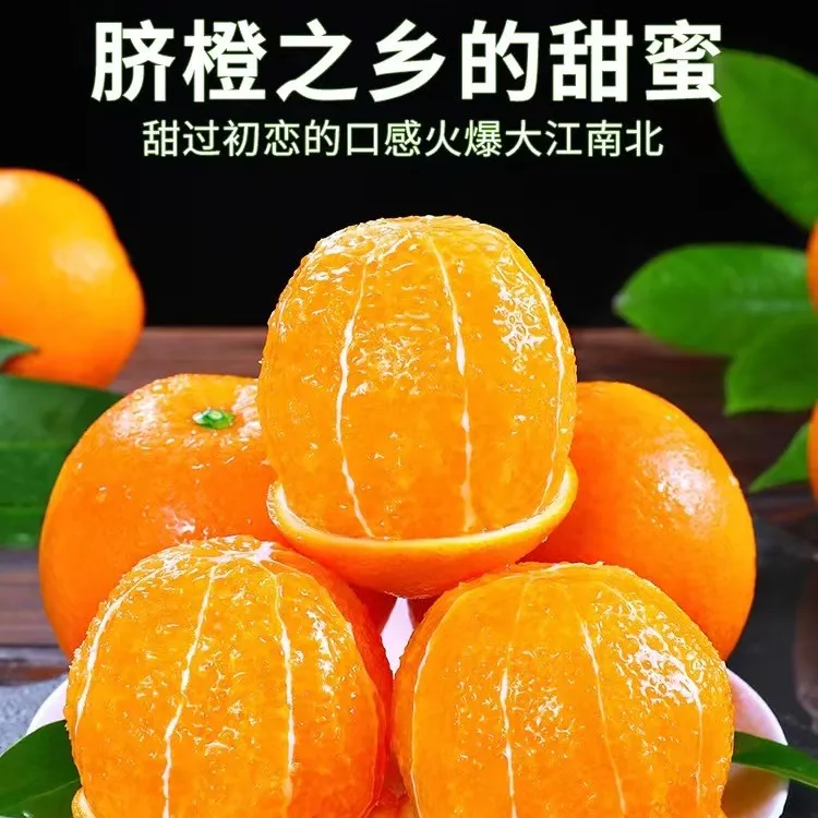 赣南脐橙应当季采摘脐橙味充足现摘10斤香甜特产多汁细腻橙子