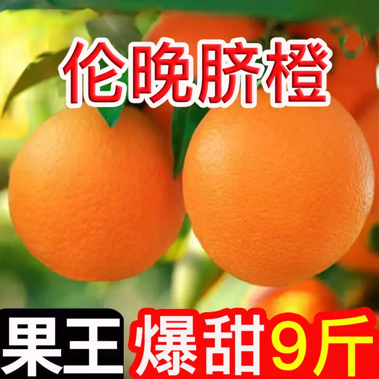 橙子伦晚脐橙赣南当季现摘冰糖甜脐橙果冻橙新鲜水果热卖发货