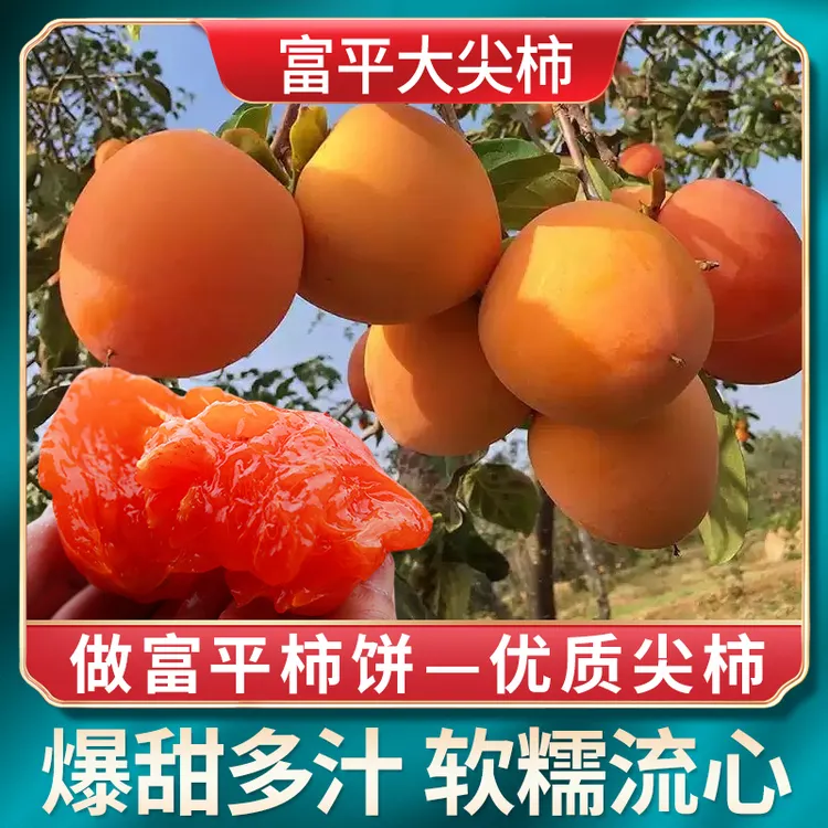 【拍8斤送半斤】富平大尖柿子5/8斤新鲜水果软甜柿子【吃软不吃硬】