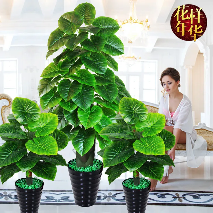 仿真植物盆景大型落地绿色仿真树滴水观音