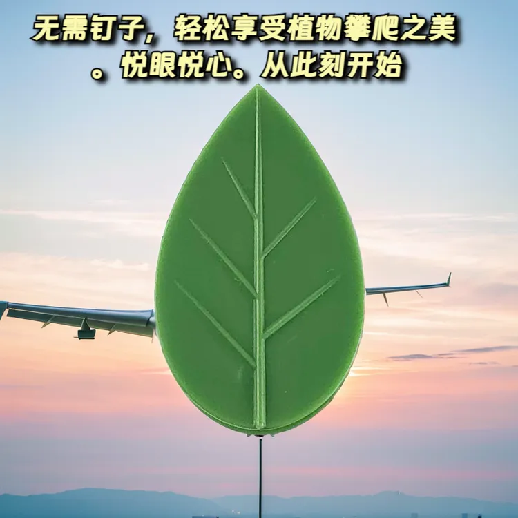 绿萝爬墙固定器绿箩固定花的卡扣爬藤吸盘攀藤夹扣挂墙神器免打孔
