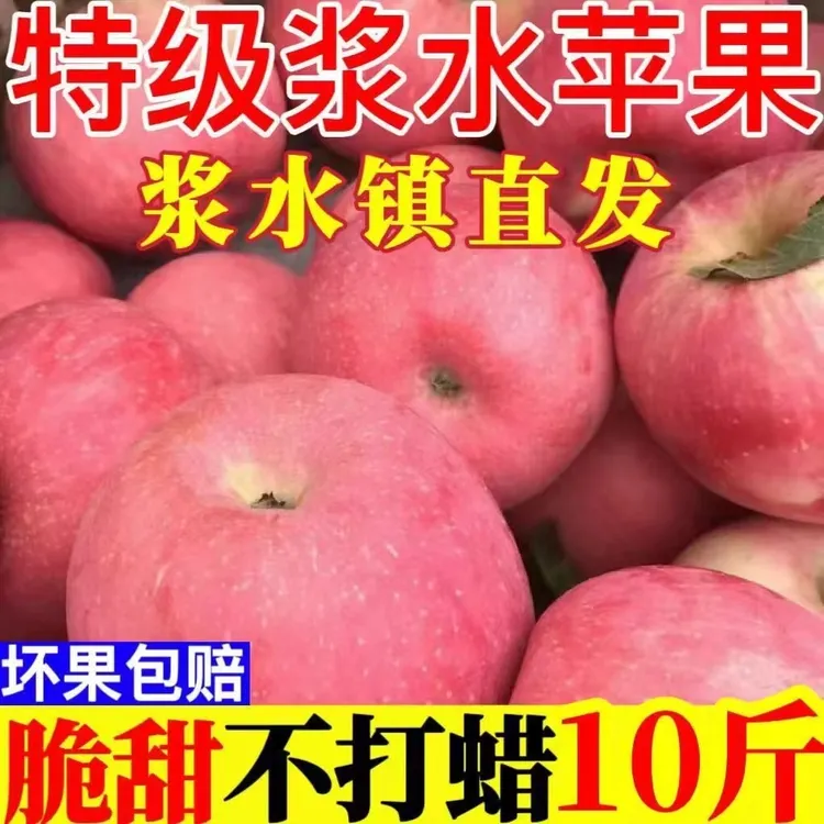 邢台浆水苹果片红系列喜欢红苹果拍此款
