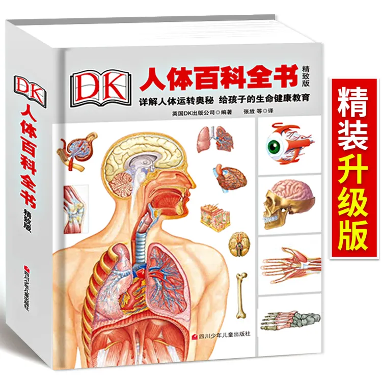 少儿精装升级版DK人体百科全书海量图片揭秘我们的身体骨骼结构