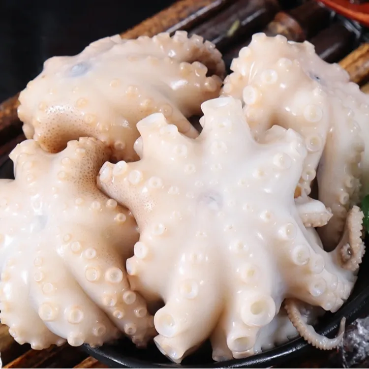 连云港  迷你八爪鱼    焯水去过内脏 2斤/3斤