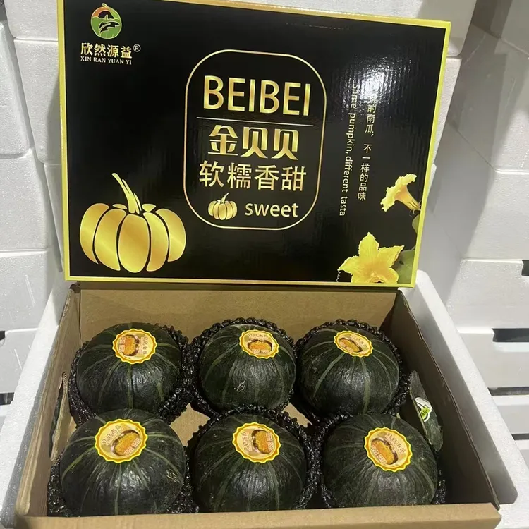 内蒙沙漠粉糯贝贝小南瓜礼盒装