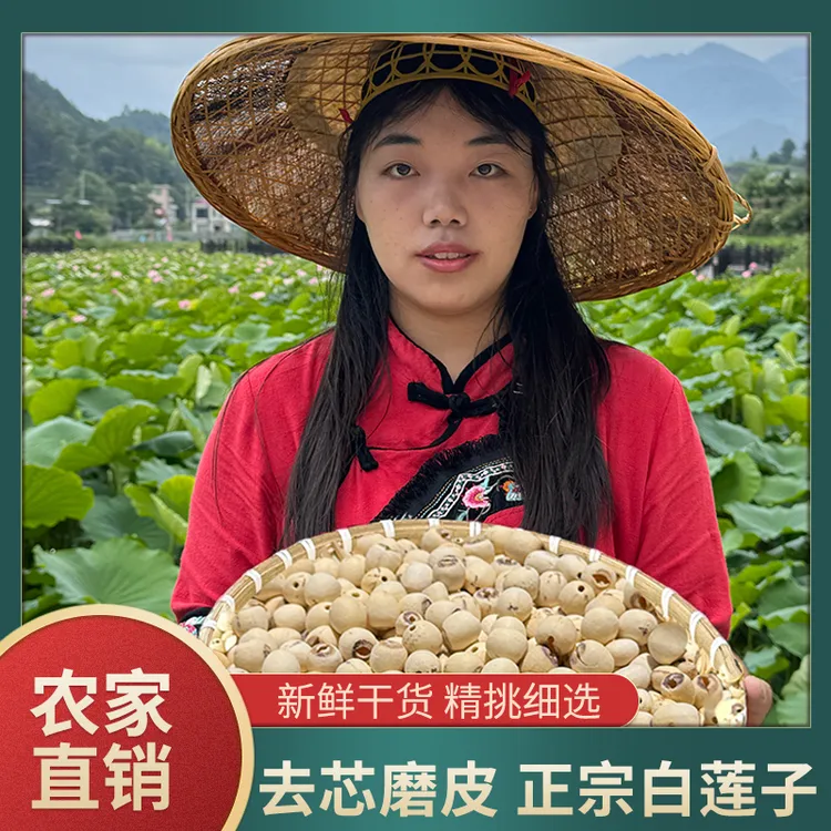 湖南农家自种精选去芯大颗粒白莲子湖南农家自种新鲜磨皮香甜饱满