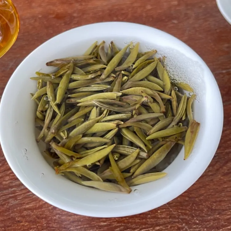 《茉莉金龙芽》非遗十窨上等茉莉茶叶茉莉花茶冰糖甜上等茉莉花茶