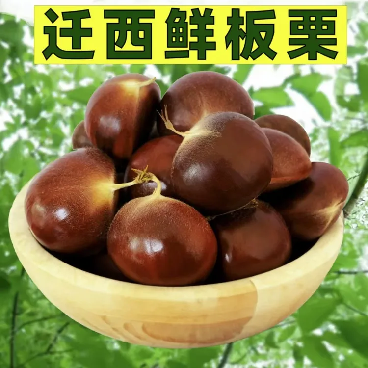 大果（每斤50粒左右）唐山迁西板栗（3113）