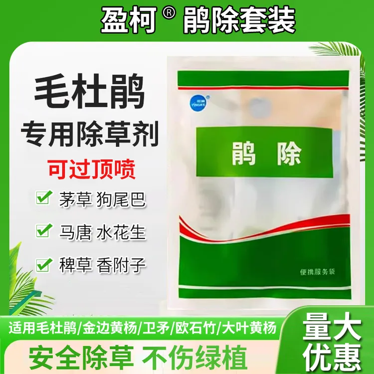 鹃除套装毛鹃娟专用欧石竹黄杨除草剂套装除阔叶草尖叶马唐狗尾草
