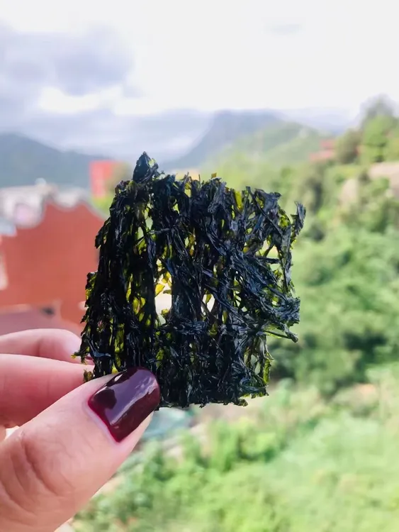 沙埔头水紫菜一包一斤装纯手工鲜甜