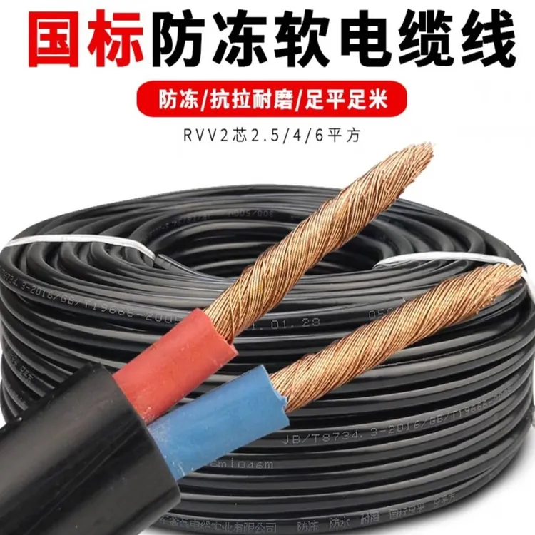 国标2.5 4 6平方电线电缆线2芯户外室内防冻防水软线电源线护套线
