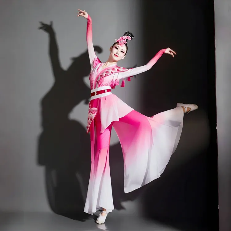 俏武旦京剧戏曲服装古典舞练功服桃李杯忆青衣女赤伶舞蹈演出服